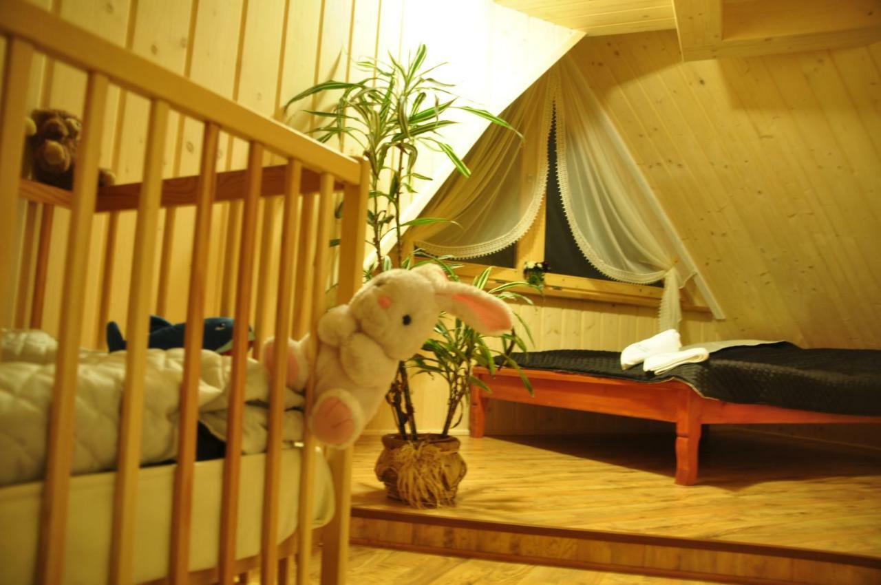 Villa U Zajaca Pod Miedza à Ciche  Extérieur photo